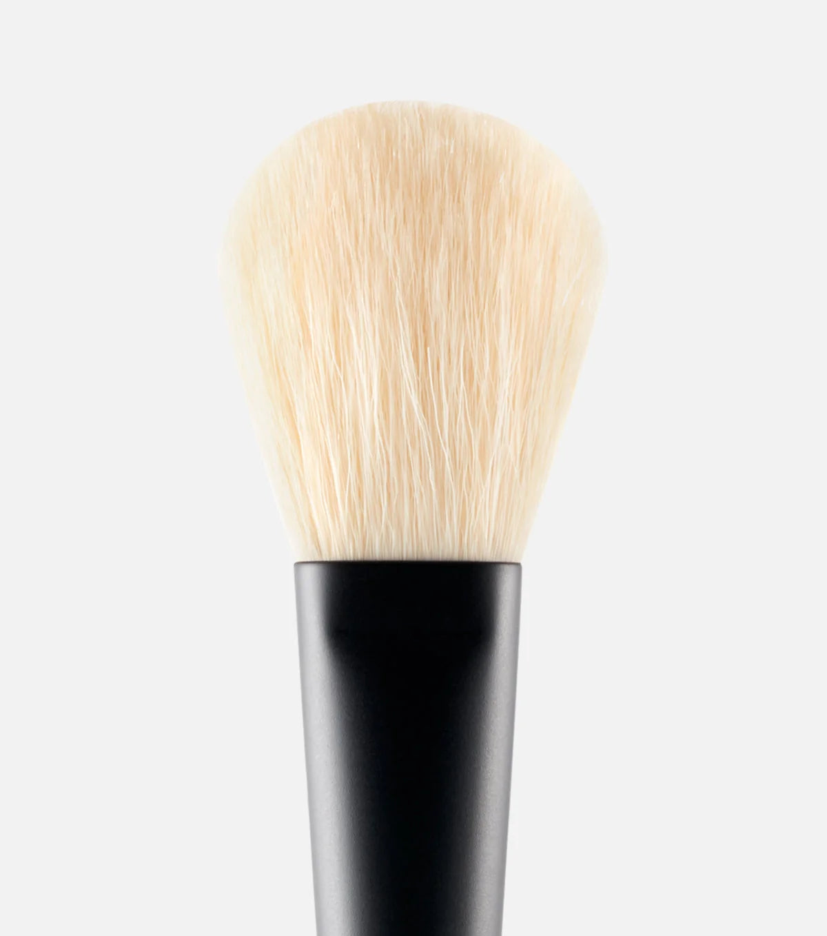 Powder Brush